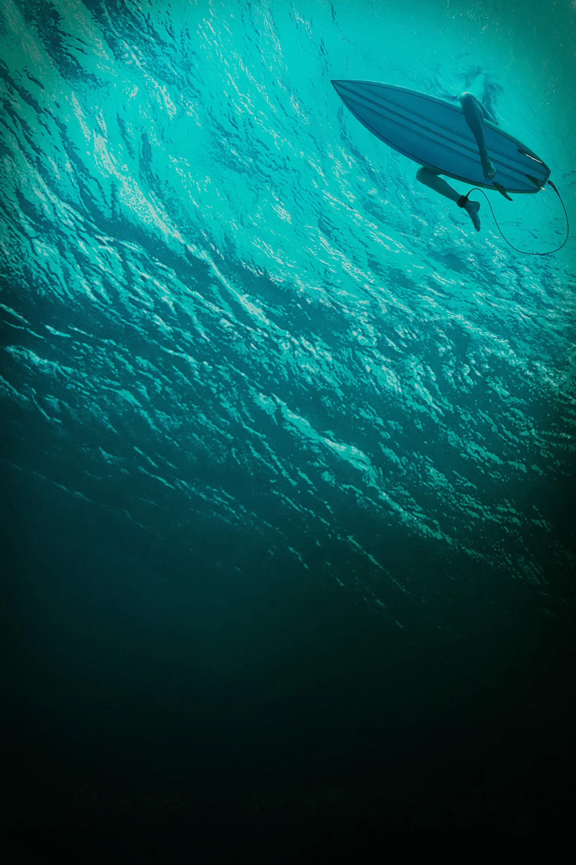images of the movie The Shallows