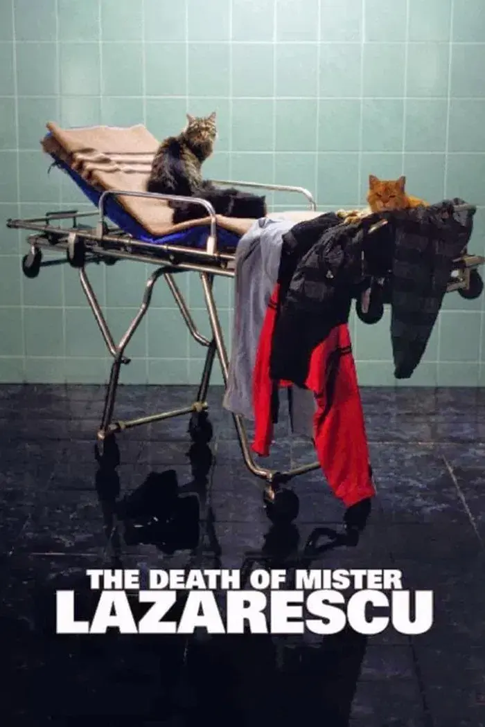 images of the movie The Death of Mr. Lazarescu