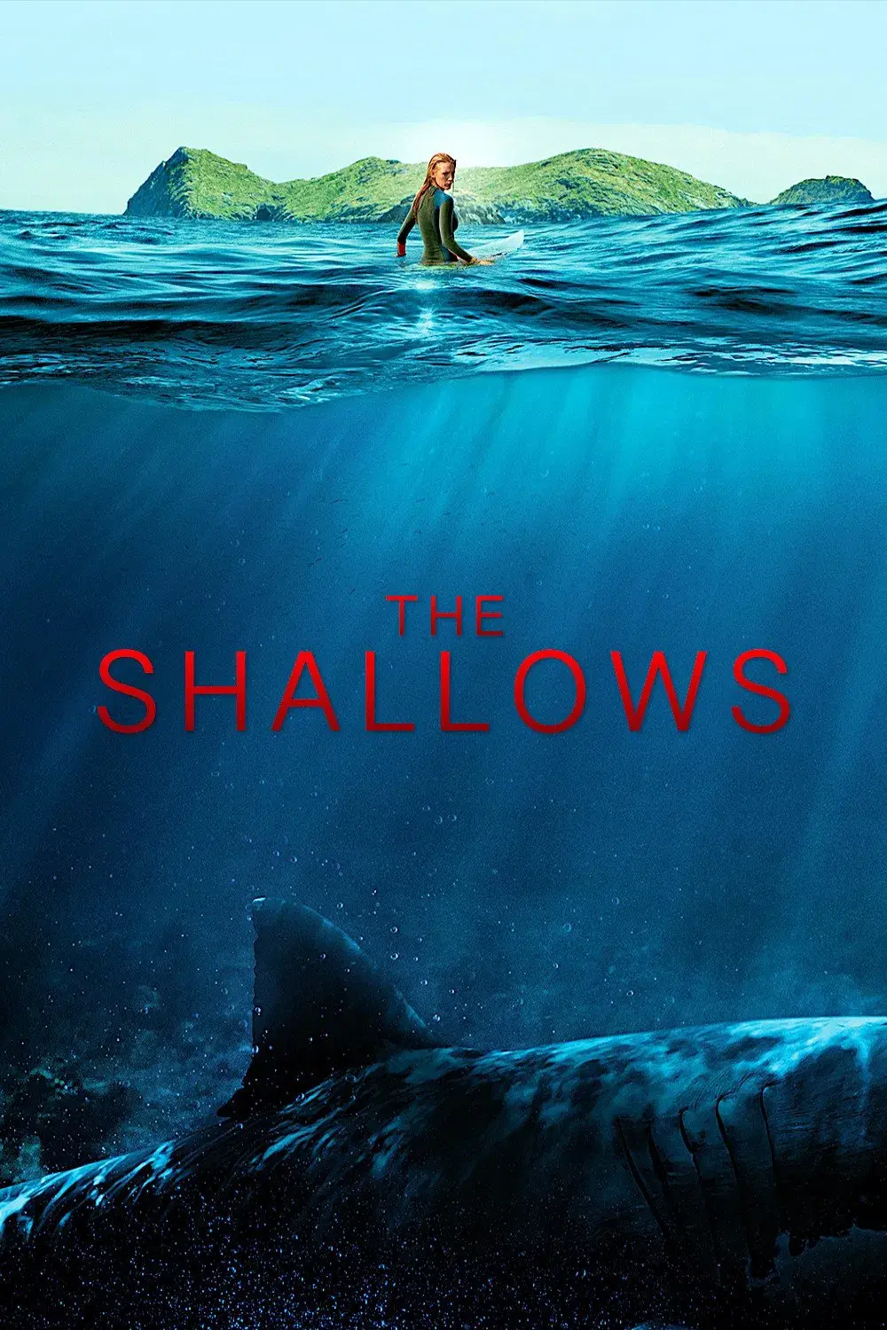 images of the movie The Shallows