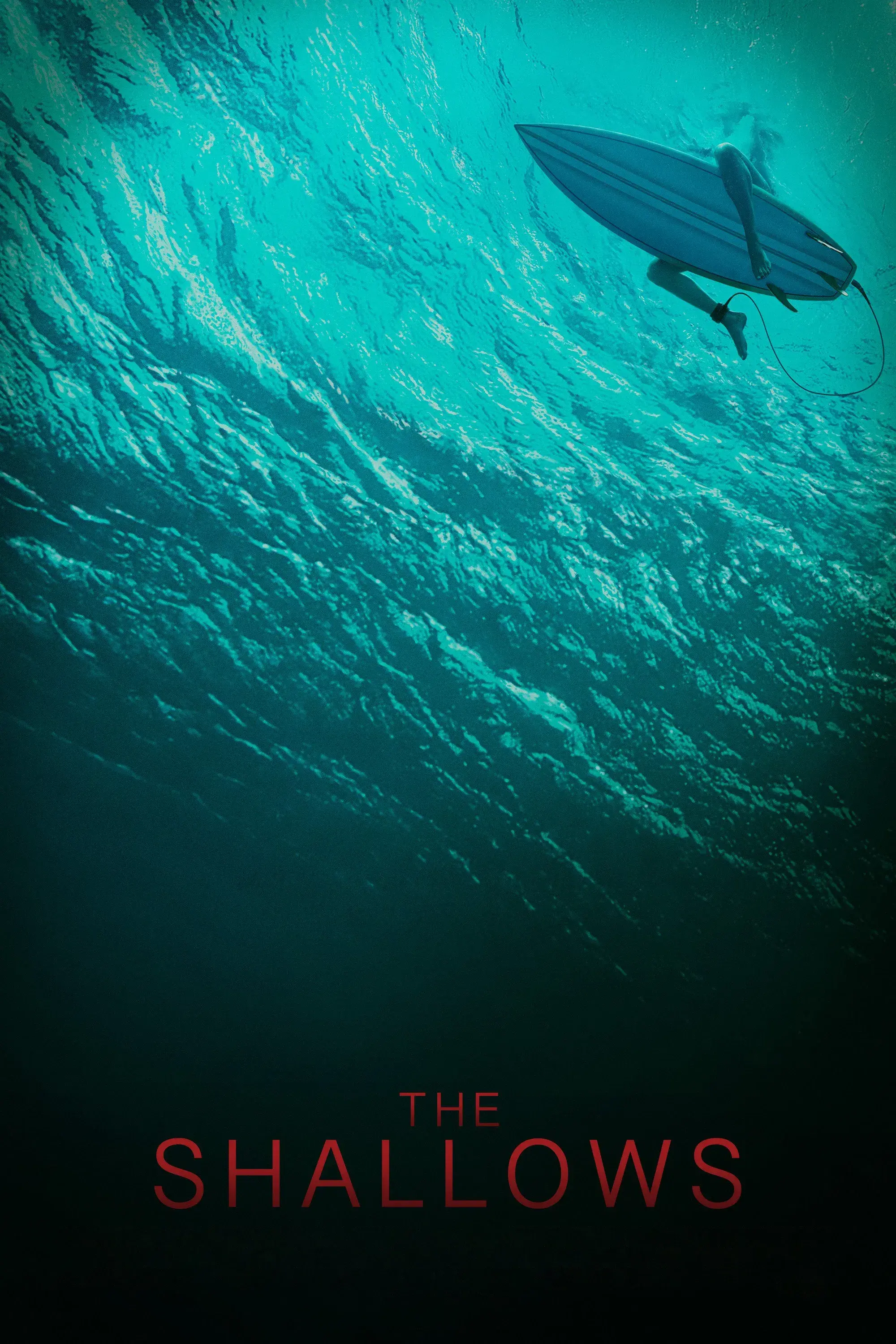 images of the movie The Shallows