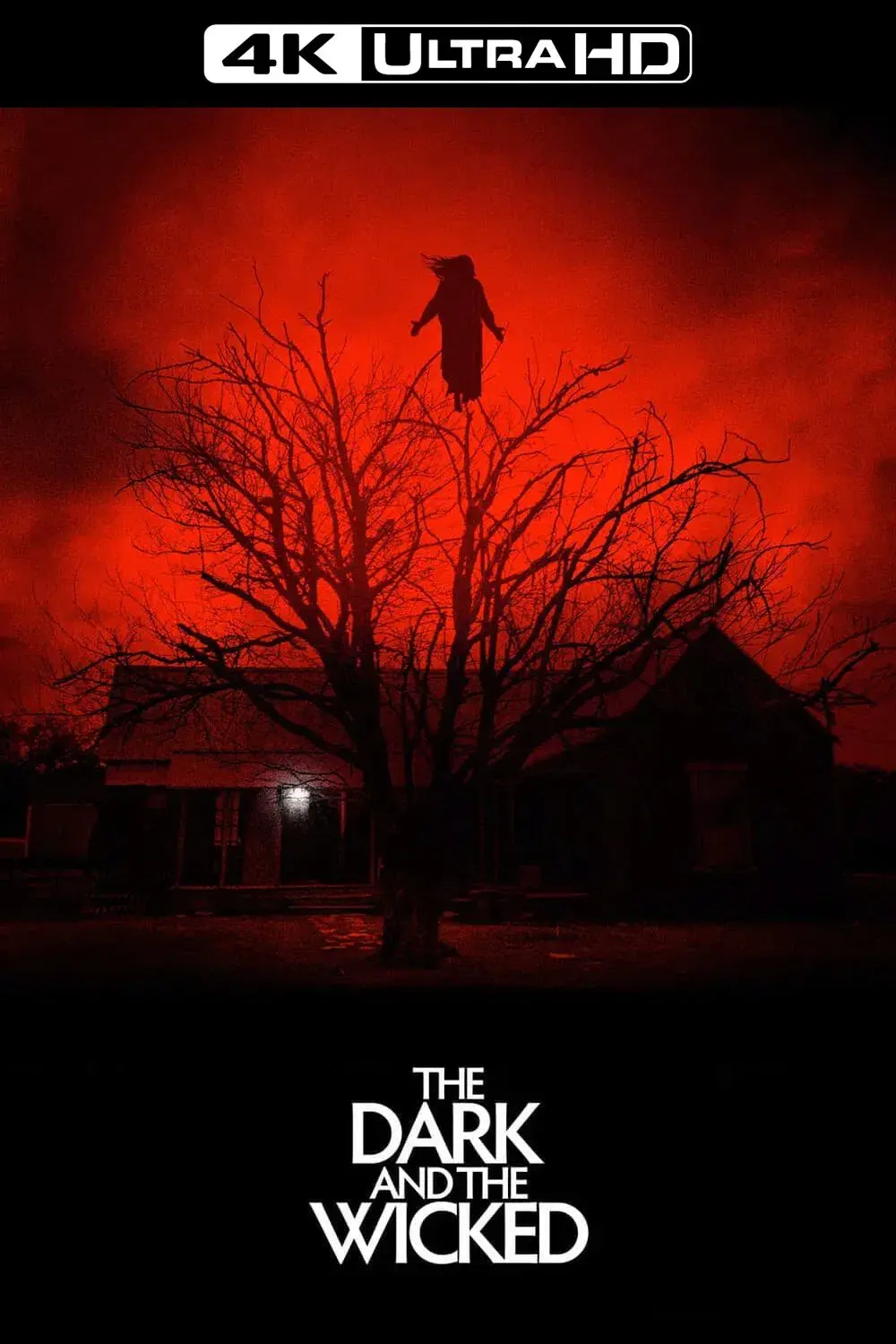 images of the movie The Dark and the Wicked