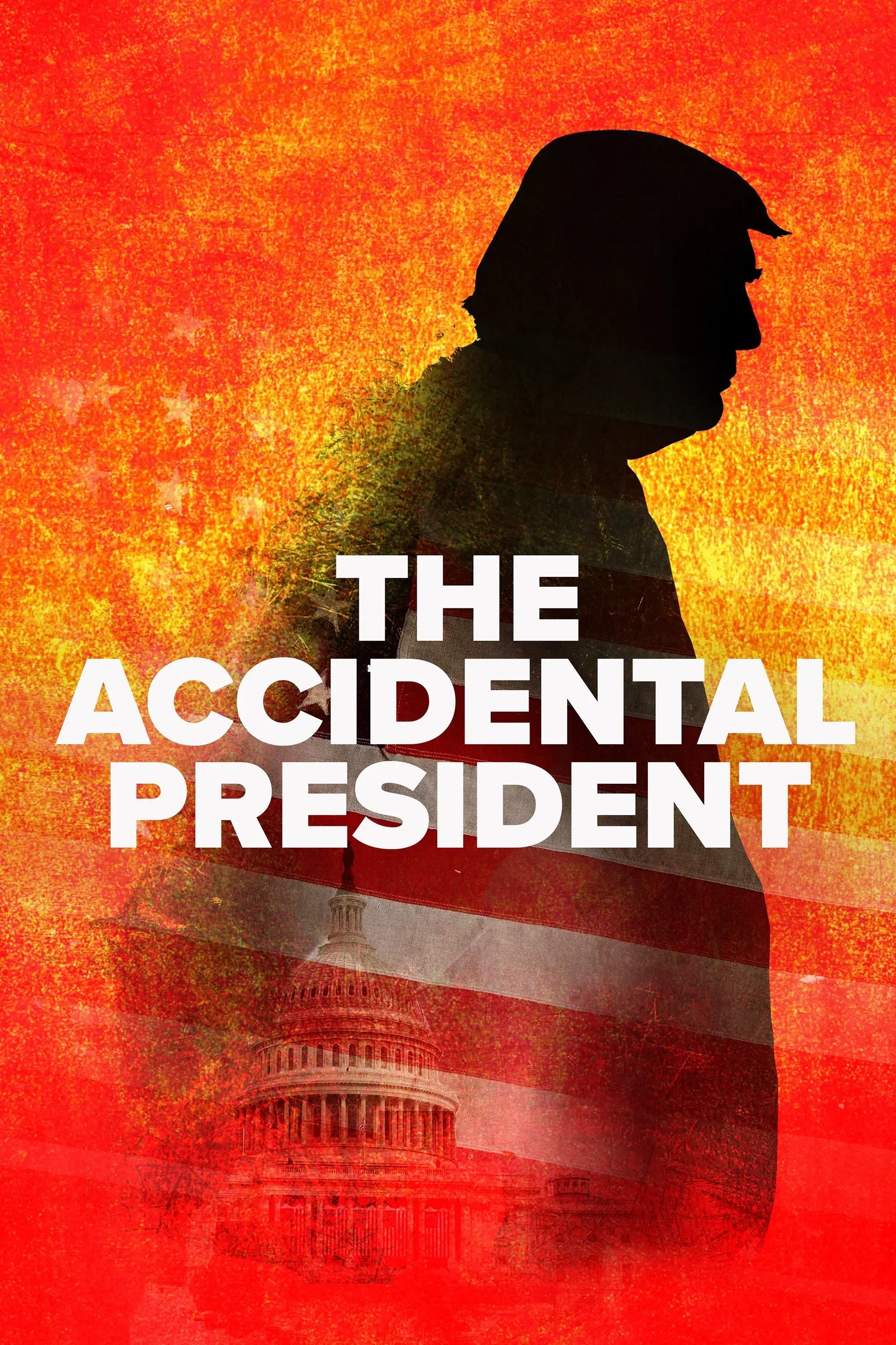 images of the movie The Accidental President