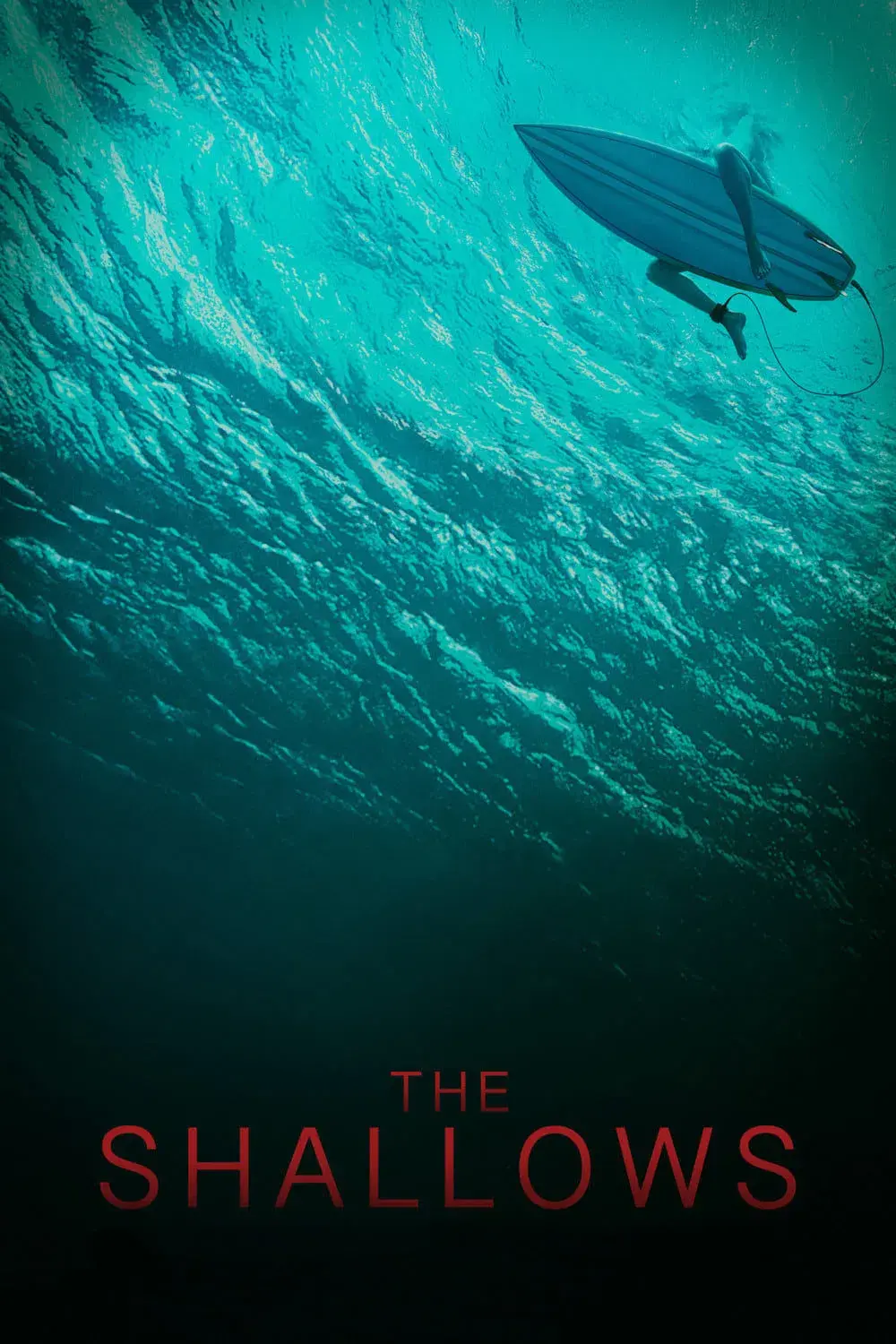 images of the movie The Shallows