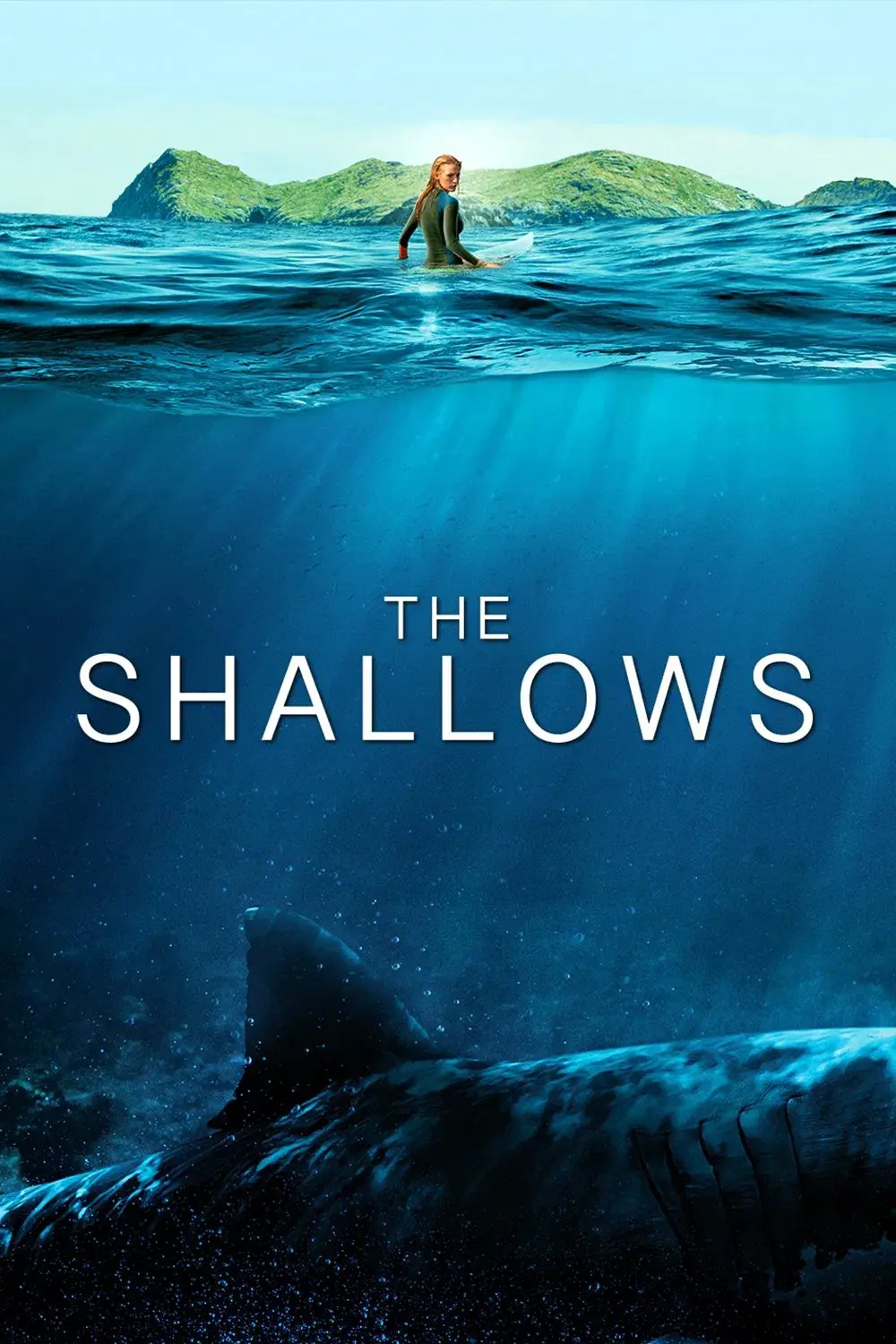 images of the movie The Shallows