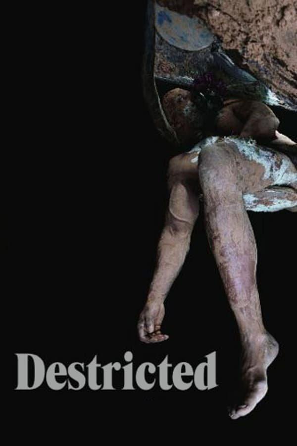 images of the movie Destricted