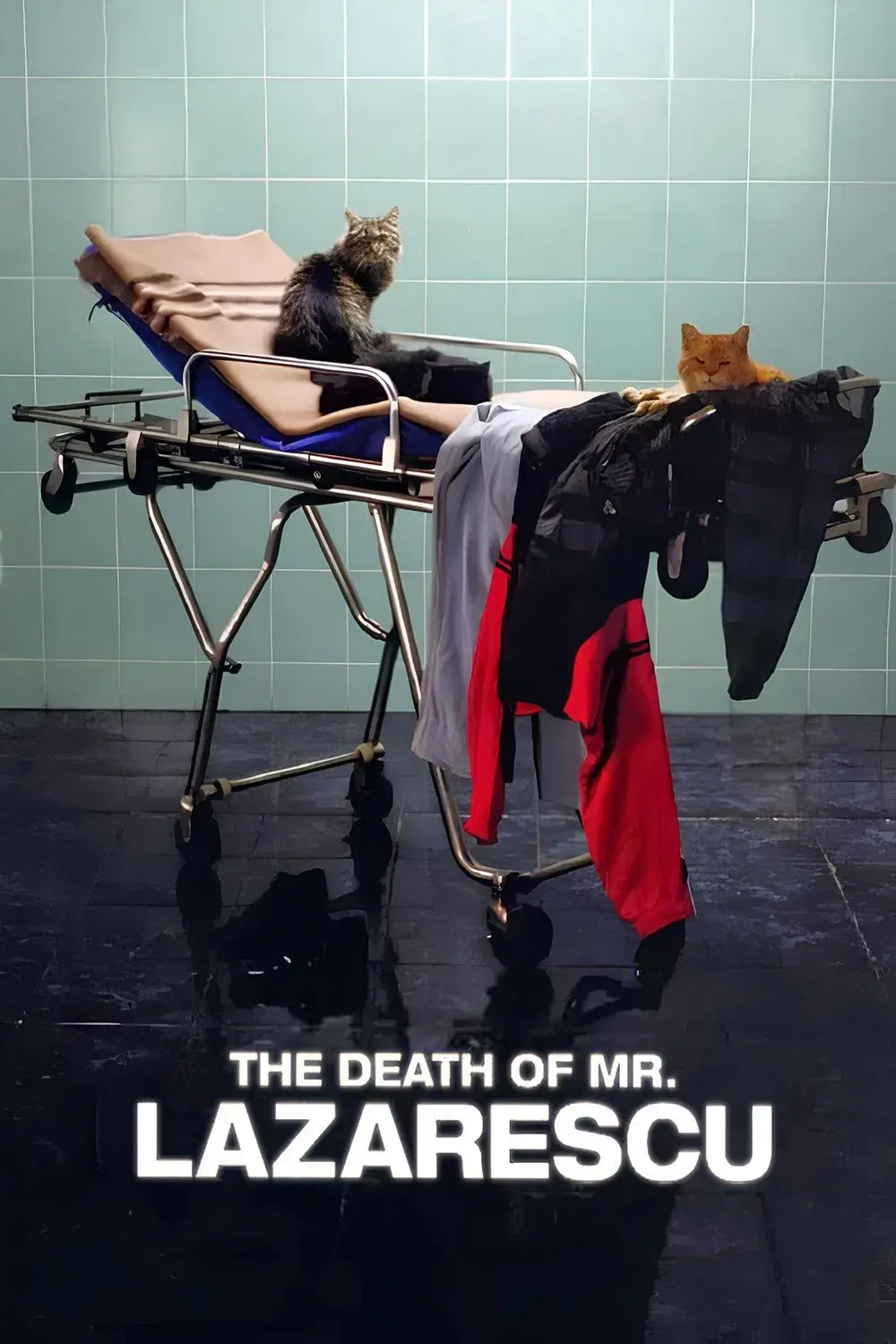 images of the movie The Death of Mr. Lazarescu