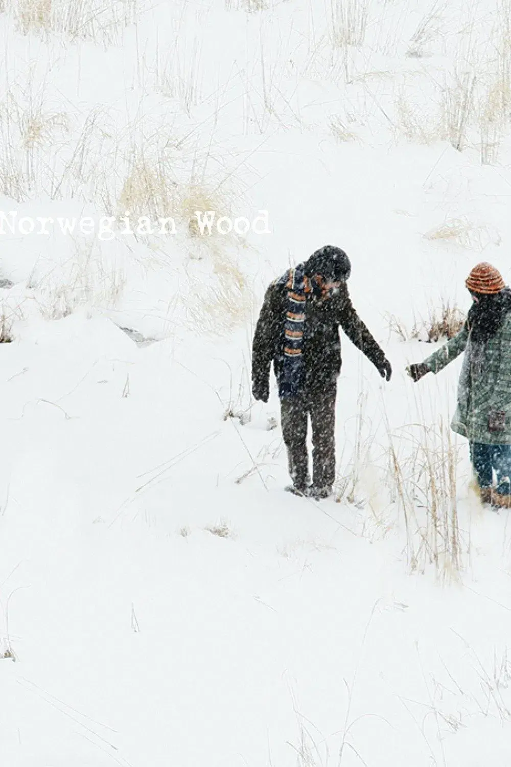 images of the movie Norwegian Wood