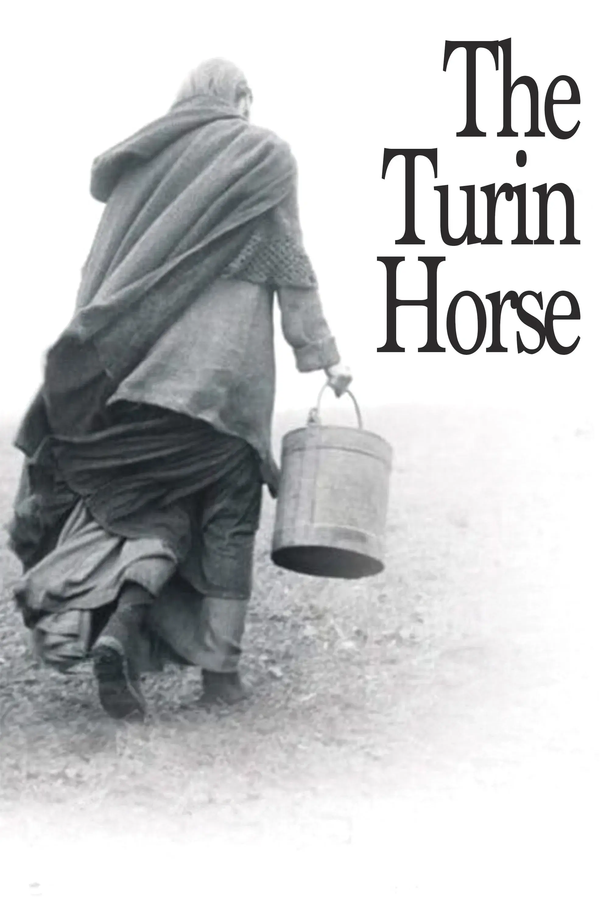 images of the movie The Turin Horse