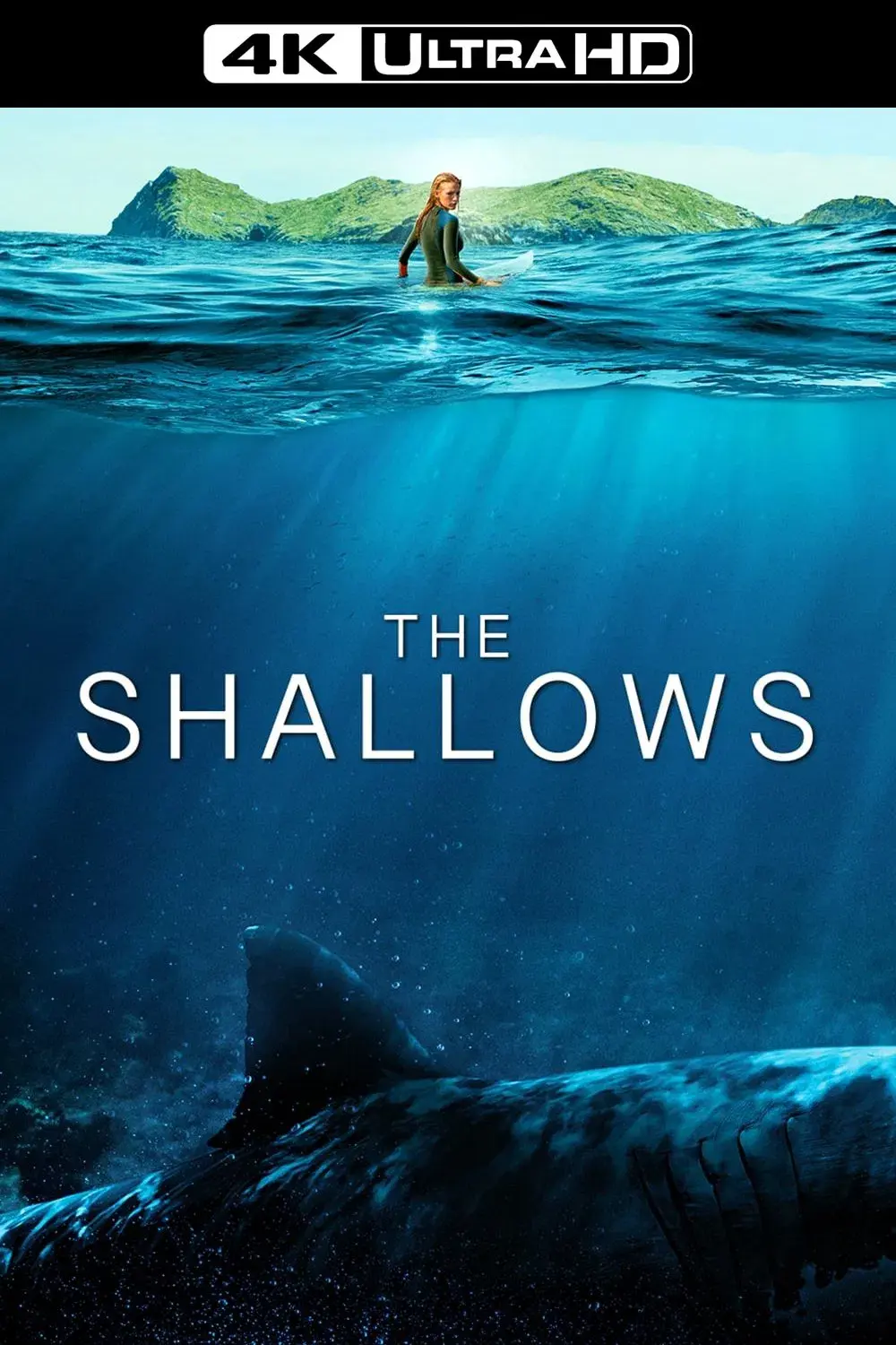 images of the movie The Shallows