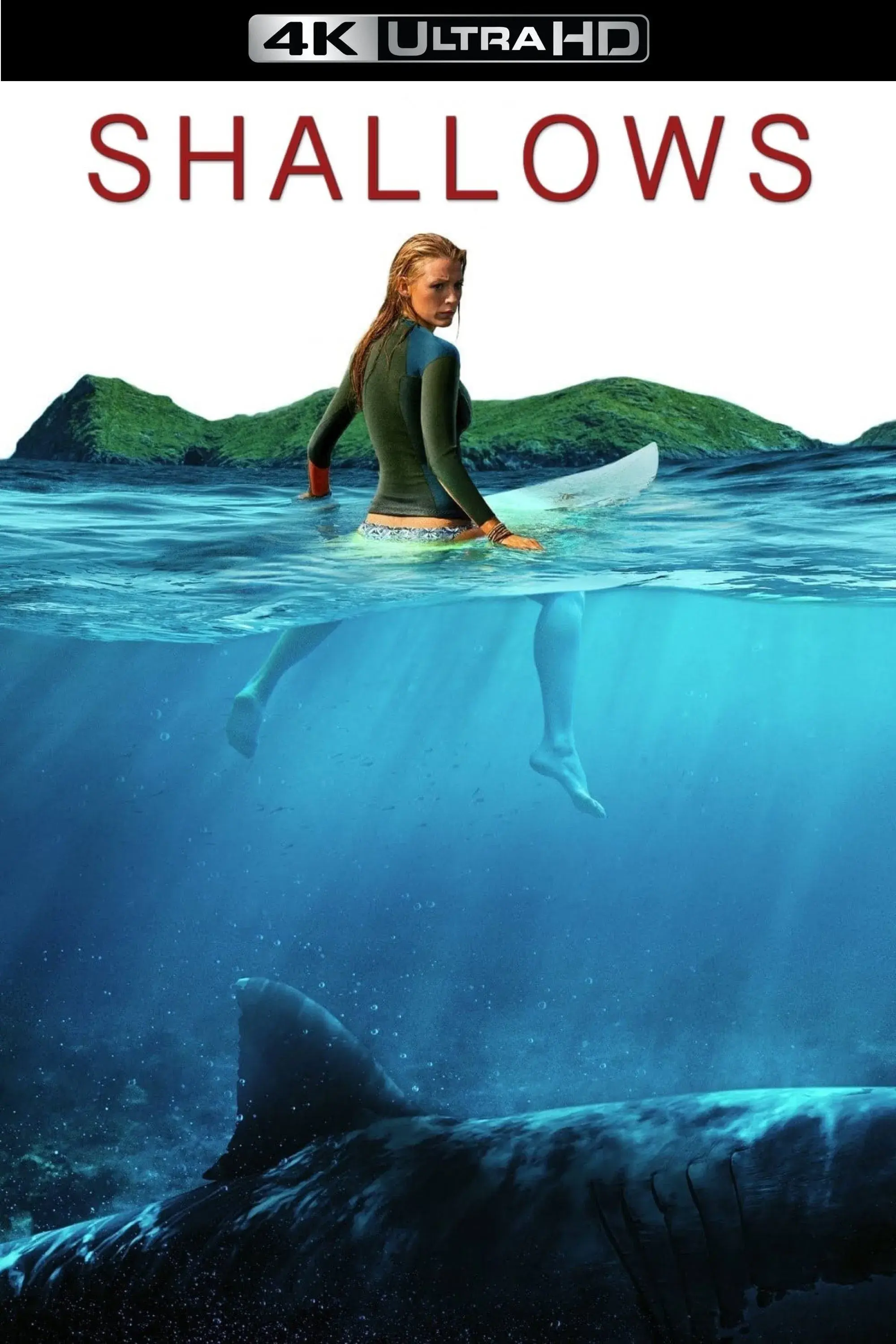 images of the movie The Shallows