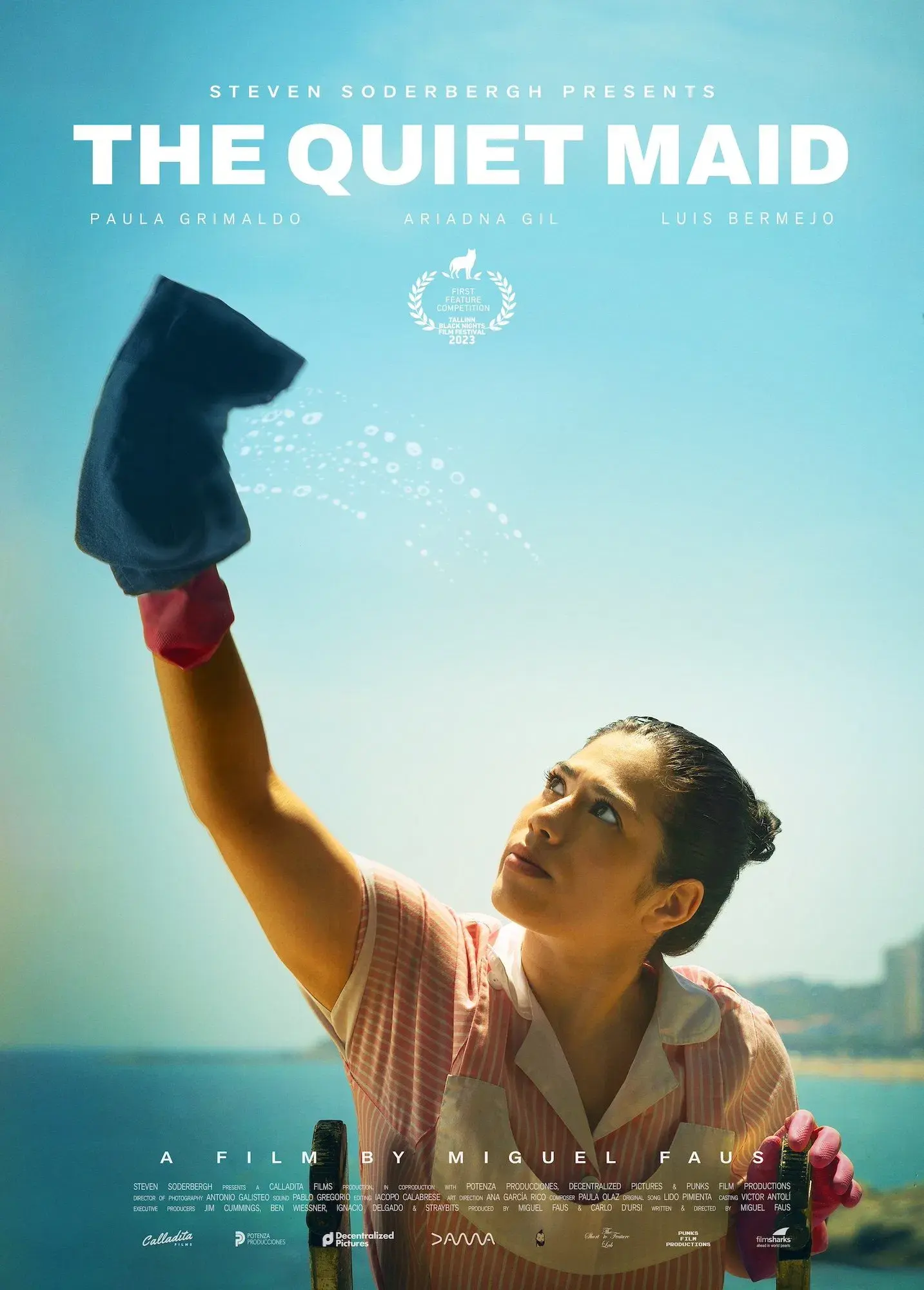 images of the movie The Quiet Maid