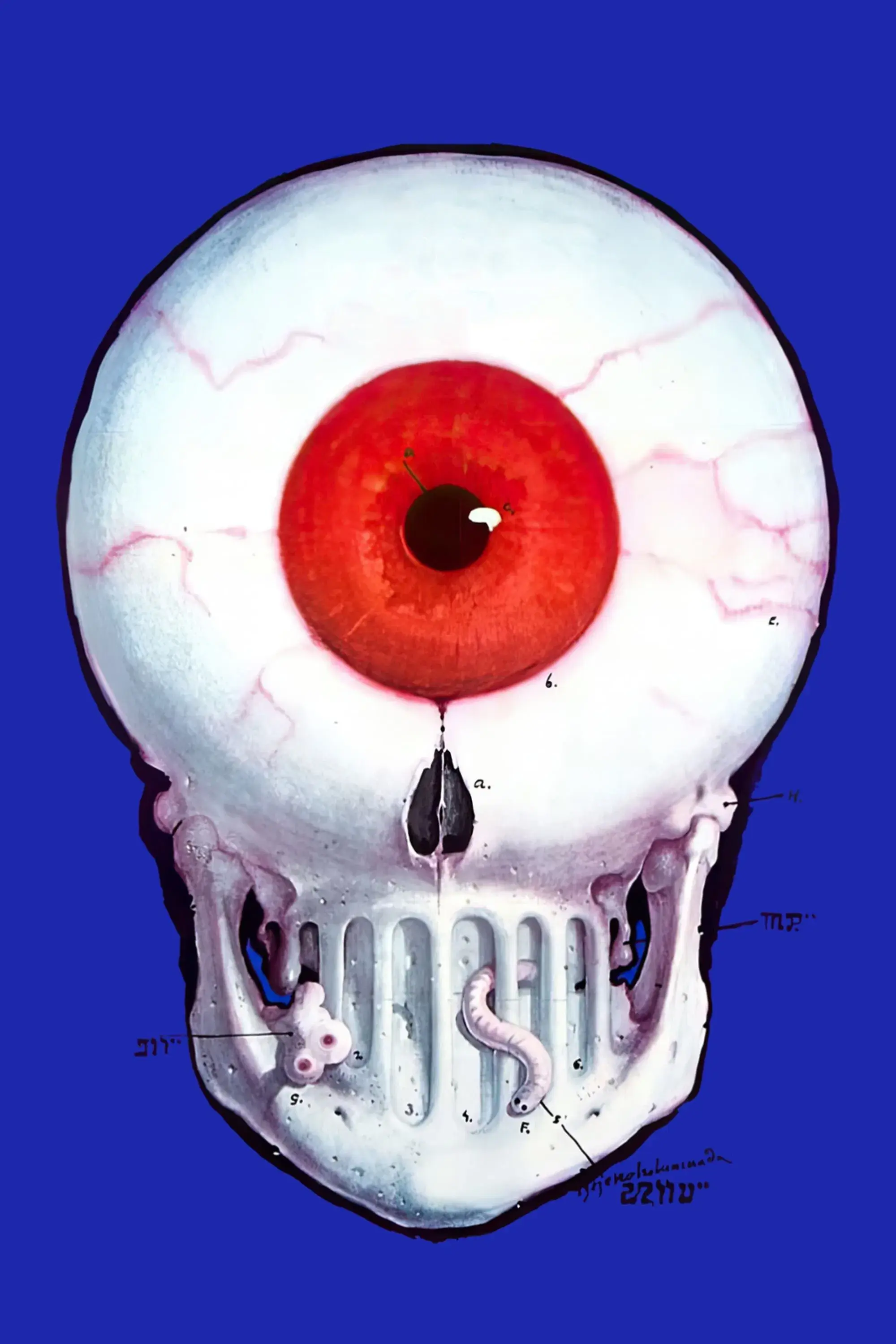 images of the movie The Hourglass Sanatorium
