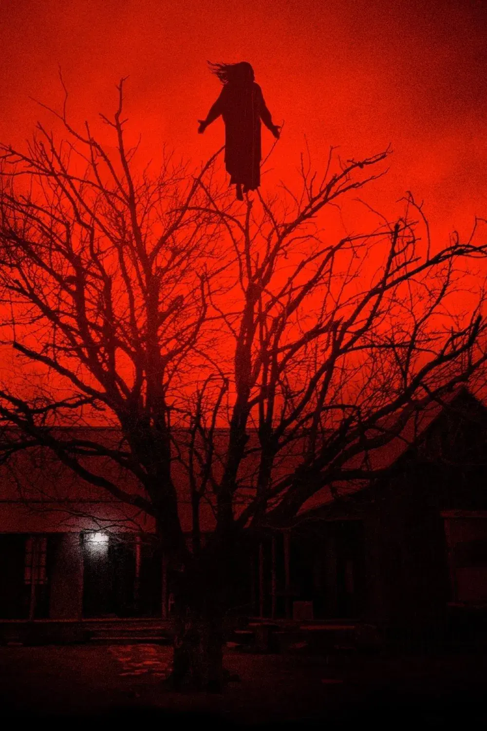 images of the movie The Dark and the Wicked