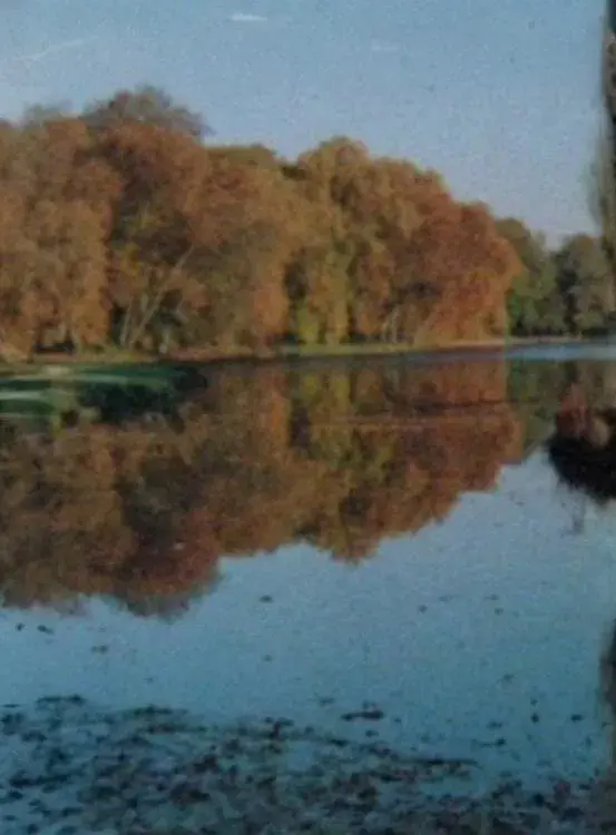 images of the movie Sans Soleil