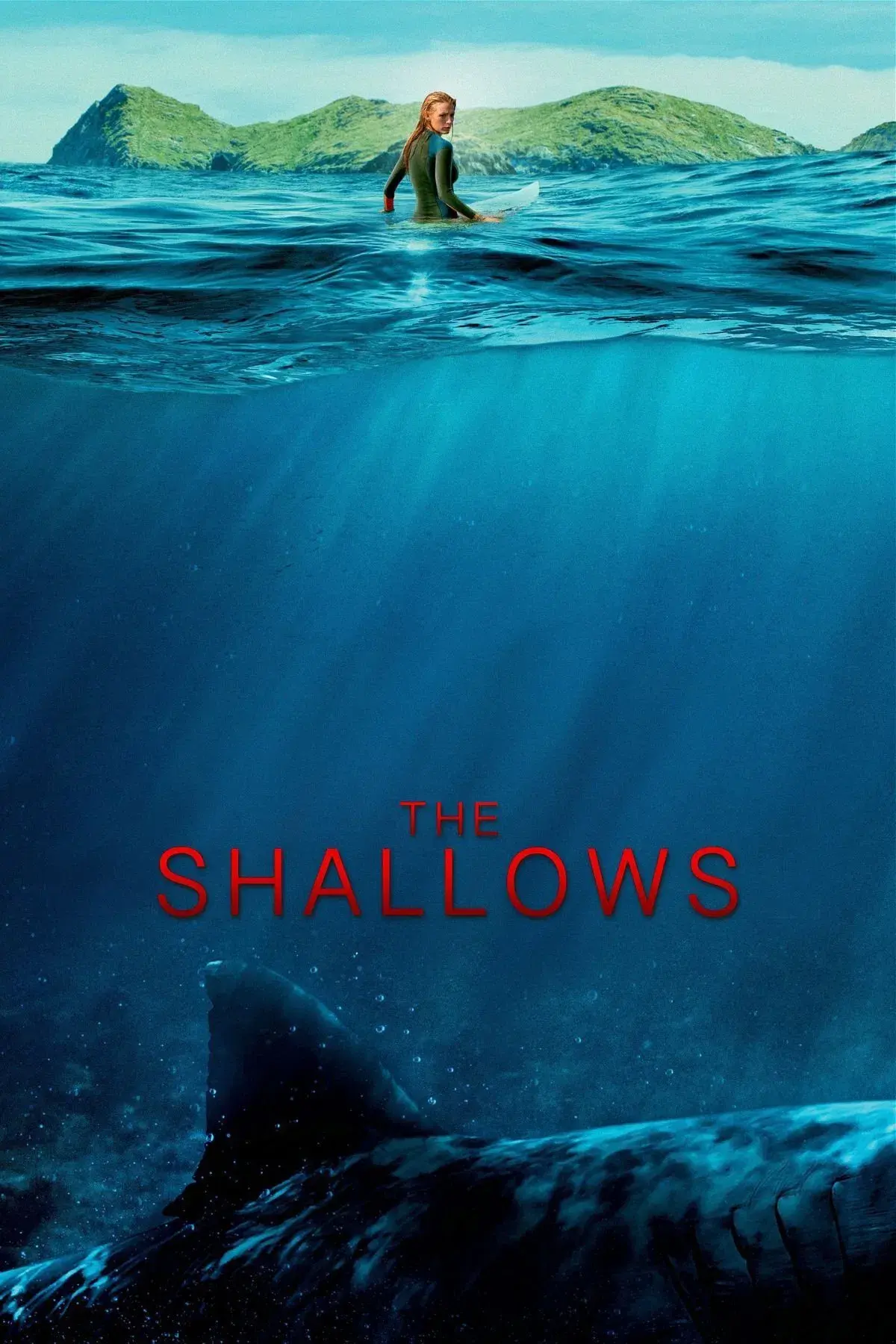 images of the movie The Shallows