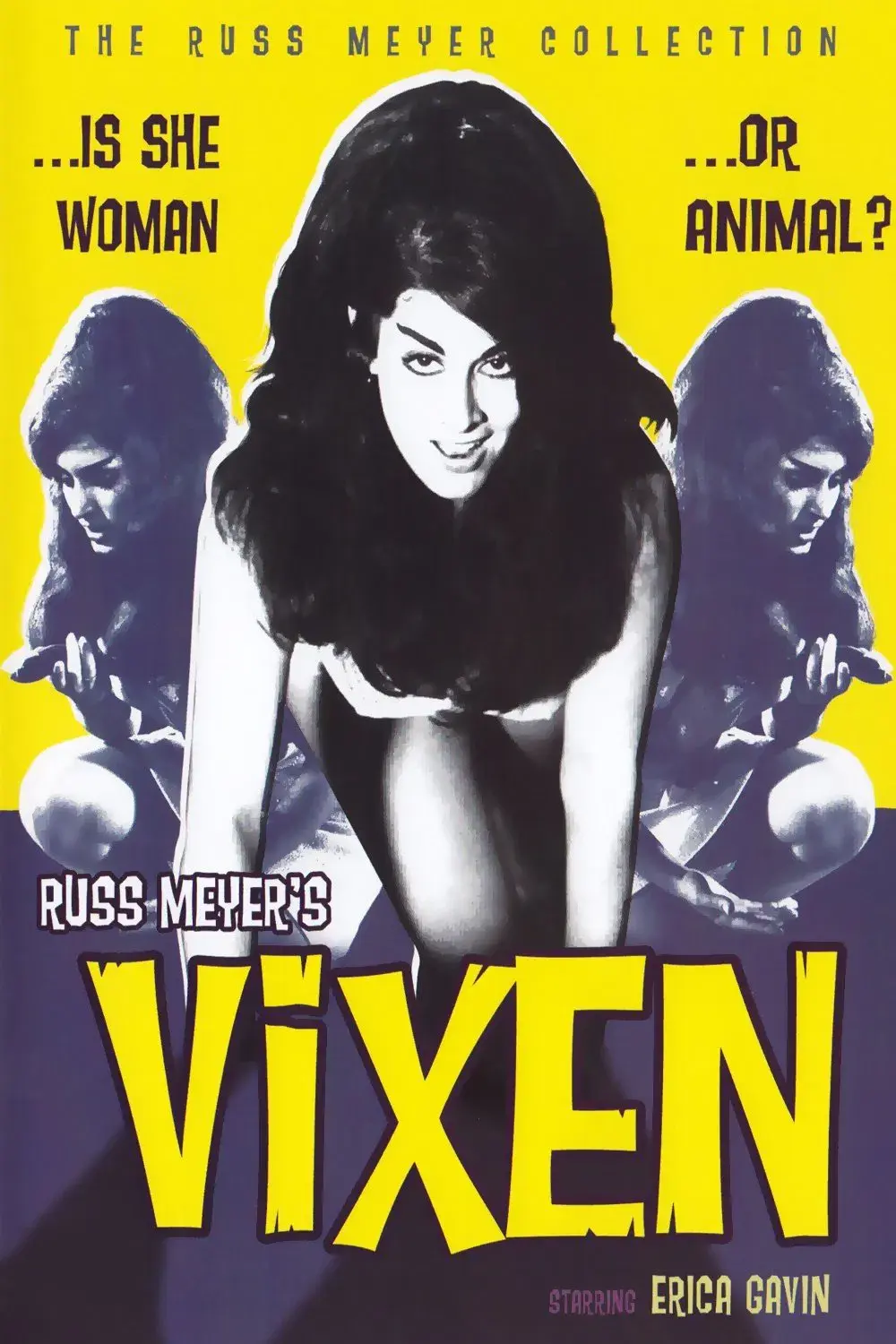 images of the movie Vixen!