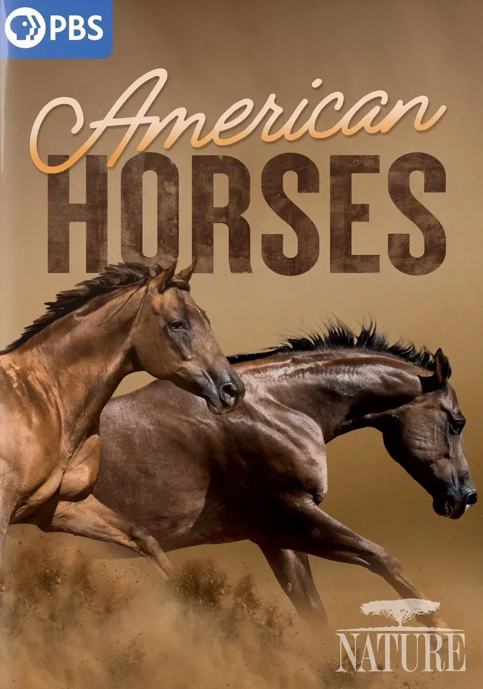 images of the movie American Horses