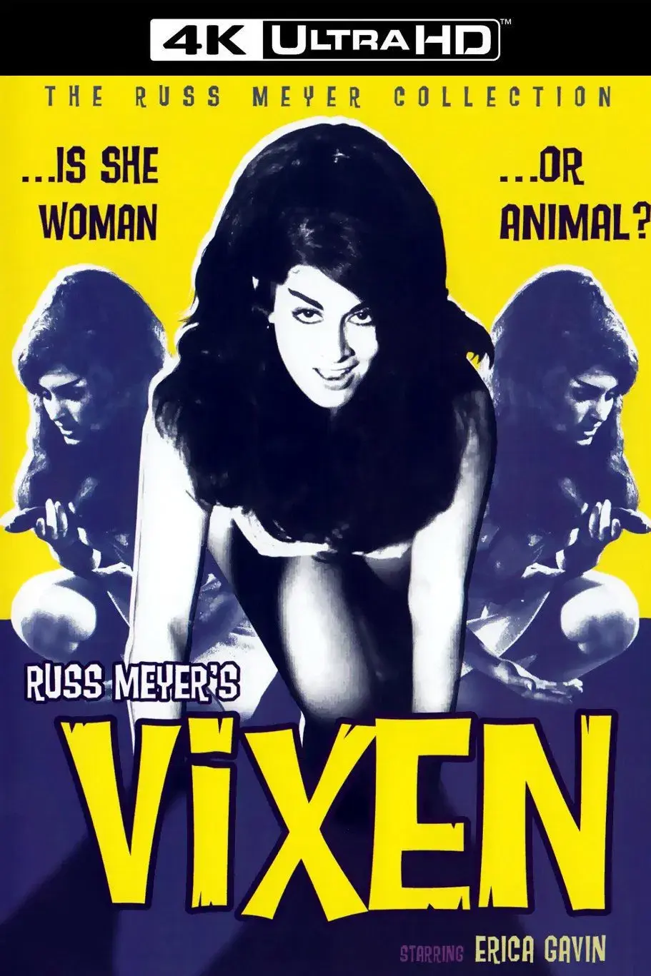 images of the movie Vixen!