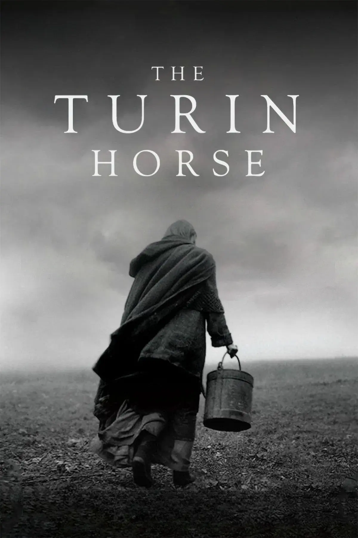 images of the movie The Turin Horse