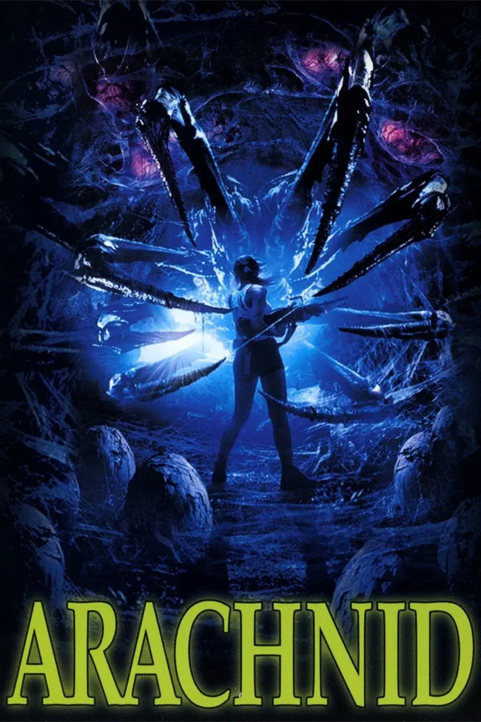 images of the movie Arachnid
