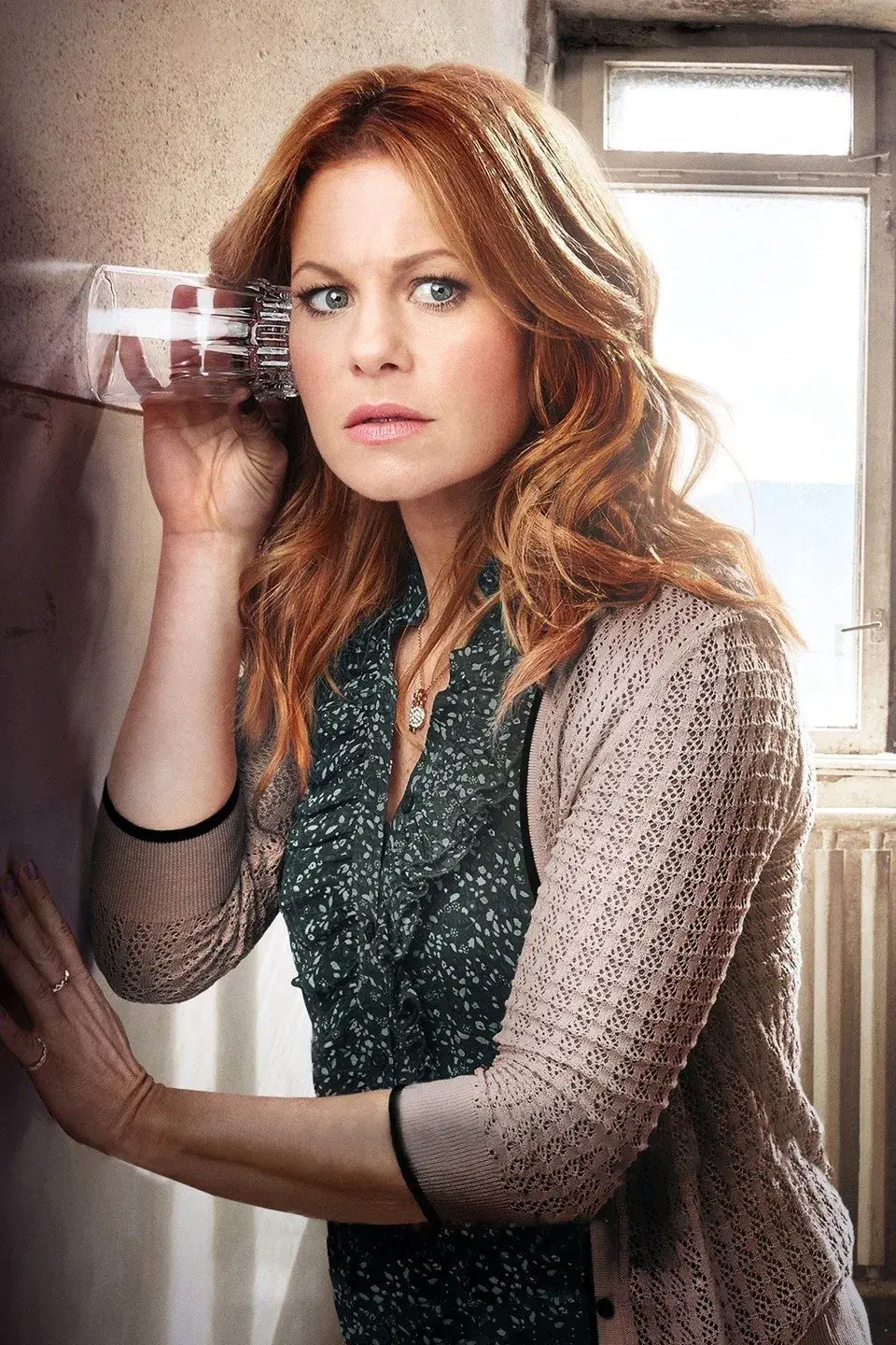 images of the movie The Julius House: An Aurora Teagarden Mystery