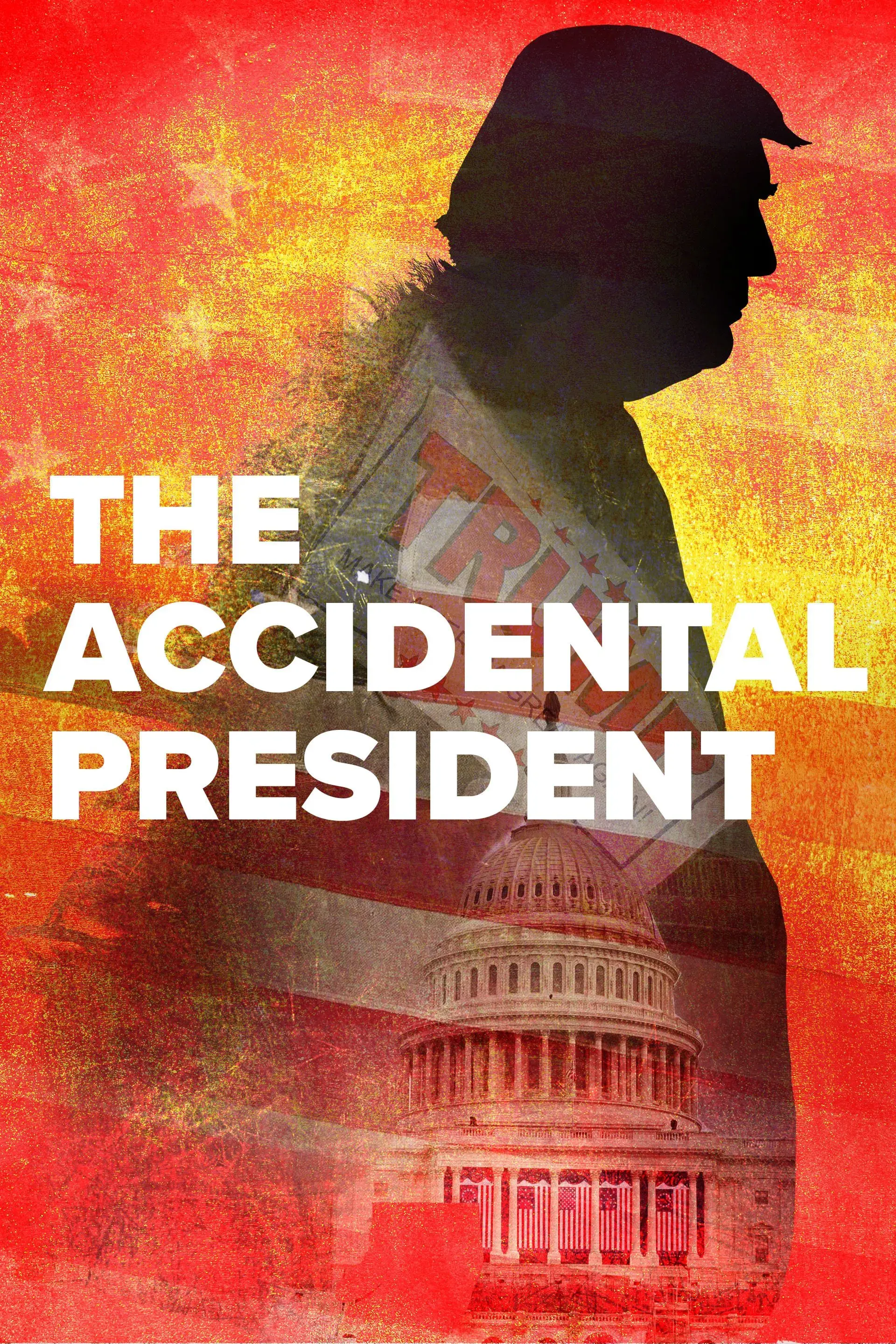 images of the movie The Accidental President