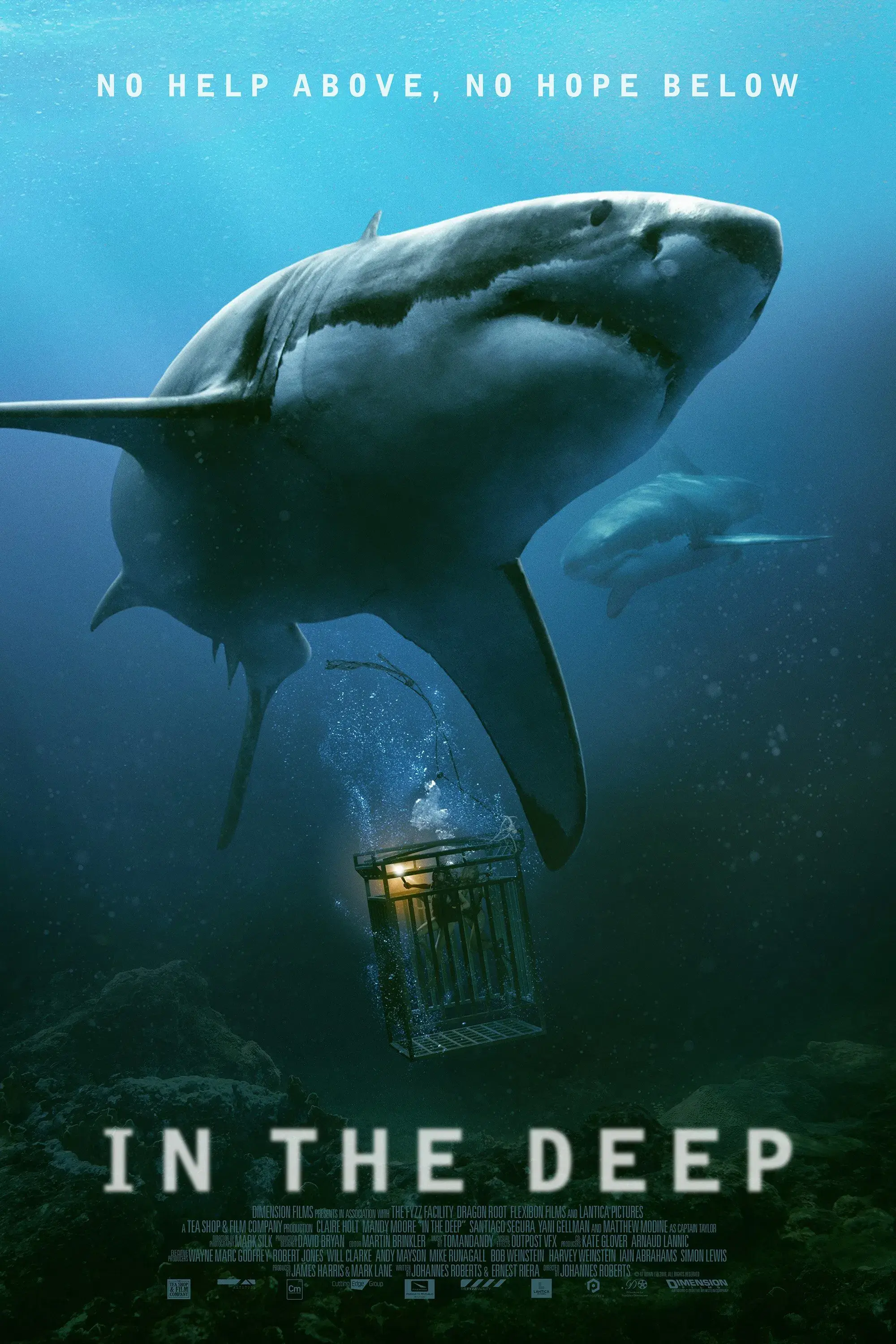 images of the movie The Shallows