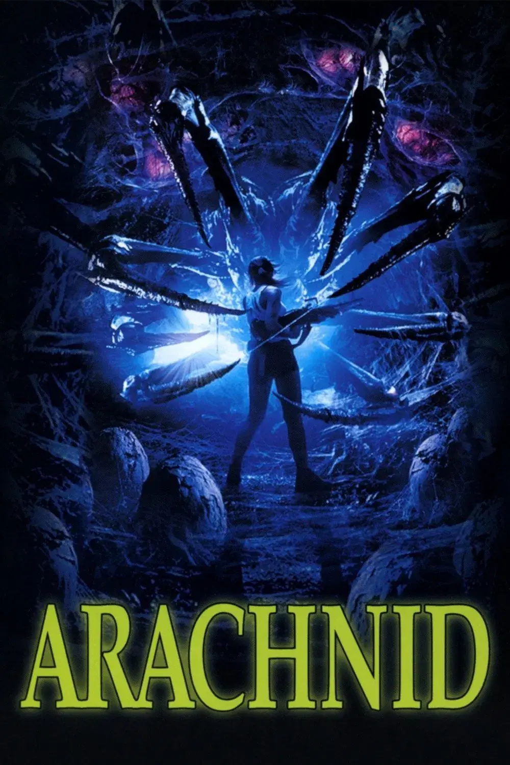 images of the movie Arachnid