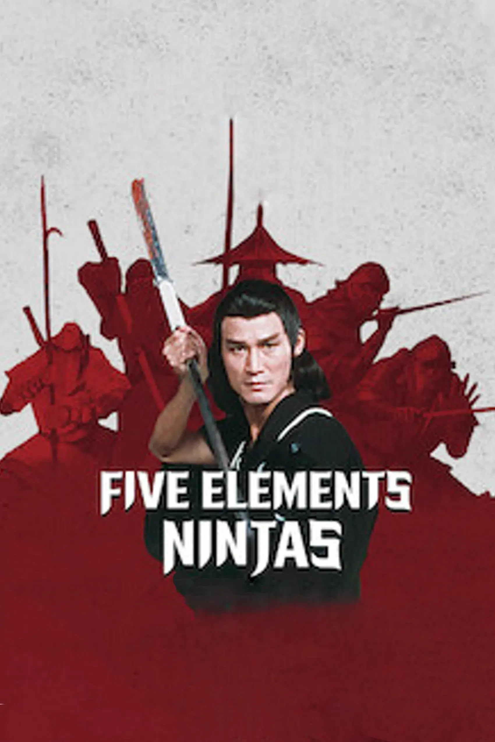 images of the movie Five Elements Ninjas