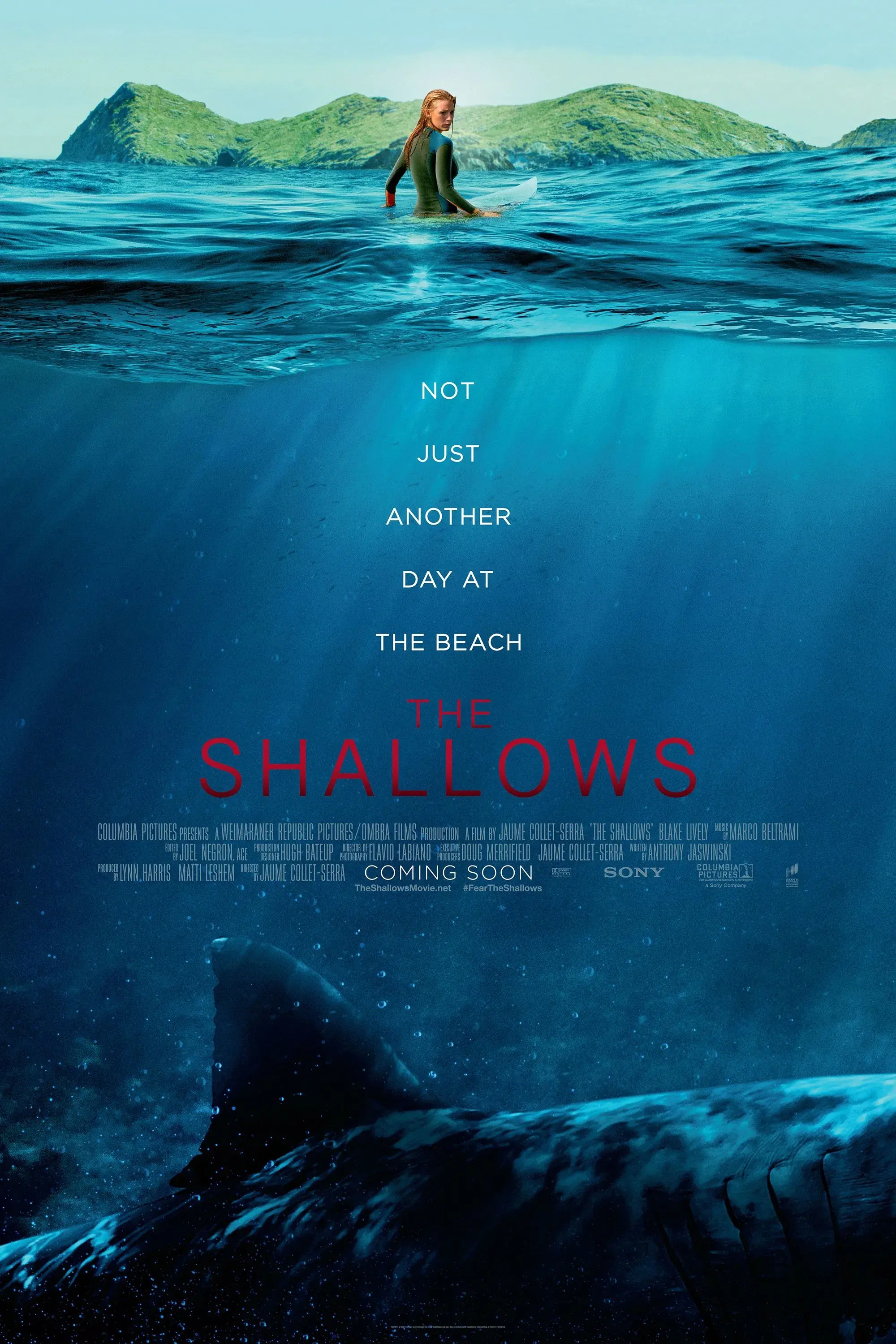 images of the movie The Shallows