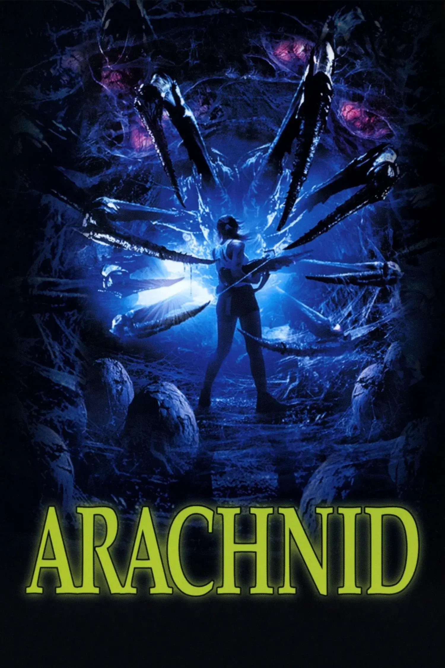 images of the movie Arachnid